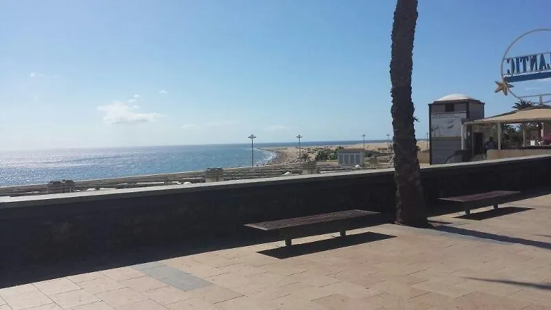 Apartamentos Los Corales contacts
